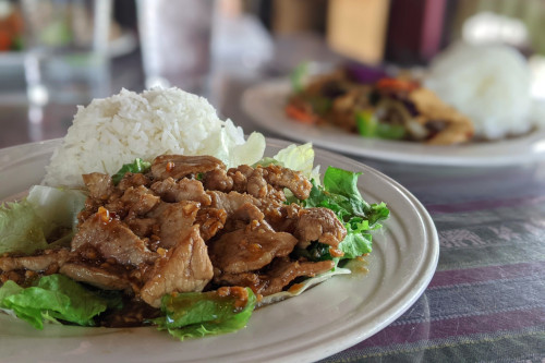 Chicken in a sauce on top of lettuce with rice